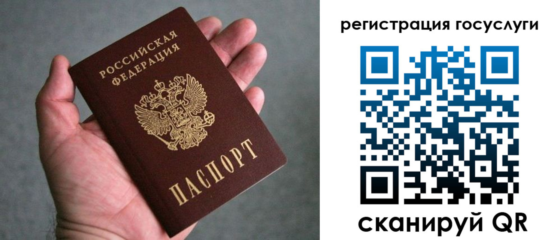 прописка поиск в Донском